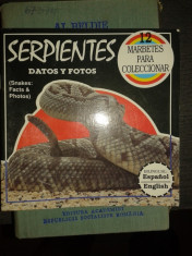 Serpientes &amp;amp;#8211; Datos Y Fotos foto