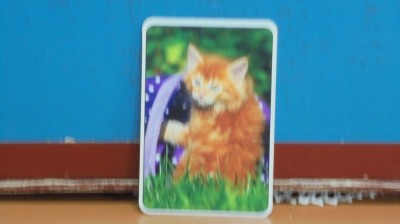 CALENDAR PISICA ROSCATA - 2017. foto