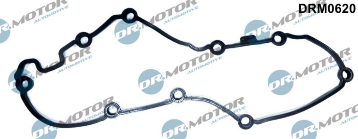 Garnitura, Capac Supape 255928 DRM0620
