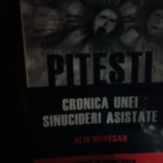 PITESTI - CRONICA UNEI SINUCIDERI ASISTATE - ALIN MURESAN, POLIROM, 2007, 263P