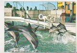 bnk cp Constanta - Delfinariu - necirculata