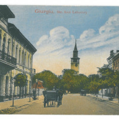 4684 - GIURGIU, street & Firemen Tower, Romania - old postcard - unused