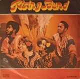 Vinil Rising Sound - Live and Love, Electrecord, 1977, Folk Pop Rock, LP 33 RPM, Stare Buna