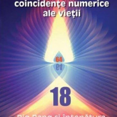 Surprinzătoarele coincidențe numerice ale vieții. Big Bang și înțepătura pe frunza de lotus (Vol.3) - Paperback brosat - Ligia Hotin - Letras