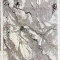Foto  - 4