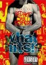 Red Hot Chili Peppers What Hits videoclips (dvd) foto