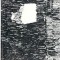 Secolul 20 - nr. 1/1973
