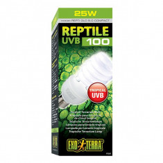 Lampă EXOTERRA REPTILE UVB 100 - 25W foto