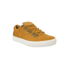 Pantofi Barbati Timberland Adv 2 0 Cupsole Alpi A195M foto