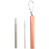 Naturalis Stainless Steel Straw Telescopic set pentru utilizarea de zi cu zi