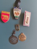 Lot 6 insigne și medalii vechi de colecție &ndash; Militaria Italia, Franța, Rom&acirc;nia