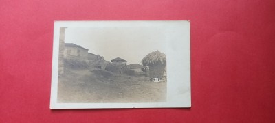 Dobrogea Constanta Sat in Dobrogea foto