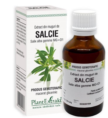 Extract din muguri de salcie 50ml foto