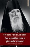 Cum ne tamaduim ranile si gasim ajutor in necazuri - Cuviosul Filotei Zervakos