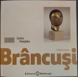DOINA LEMNY:CONSTANTIN BRANCUSI/CENTRE POMPIDOU 2012/EDITIA IN LIMBA ROMANA 2018