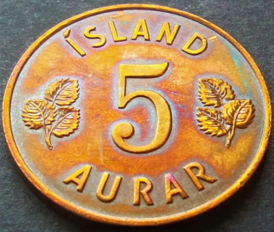 Moneda 5 AURAR - ISLANDA, anul 1966 *cod 2486 - MODELUL MARE = MAI RARA! foto