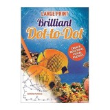 Large Print Brilliant Dot-to-Dot, Arcturus Publishing
