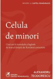 Celula de minori