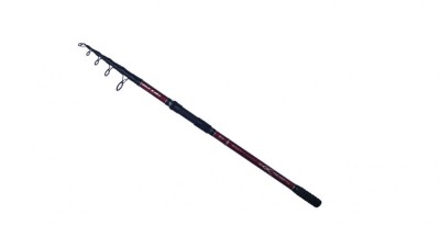 Lanseta TeleCarp 3.6m Wild carp carbon 4 lbs foto