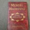 MENDEL HAIMOVICI OPERA MATEMATICA