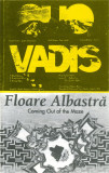 Casetă audio Quo Vadis / Floare Albastră &lrm;&ndash; Coming Out Of The Maze, originală, Casete audio, Pop