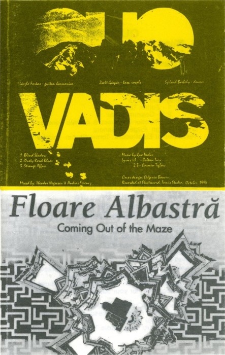 Casetă audio Quo Vadis / Floare Albastră &lrm;&ndash; Coming Out Of The Maze, originală