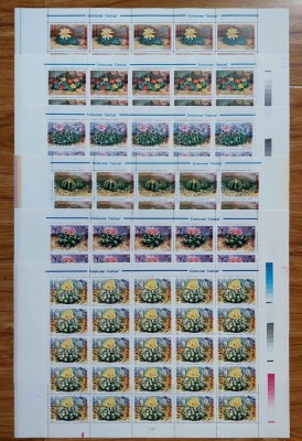 RO 1997 LP 1433 &amp;quot;Cactusi&amp;quot;, serie in coli de 25 , MNH foto