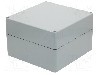 Carcasa poliester, 250mmx255mmx160mm, IP66, RAYCHEM RPG - GRJ-17
