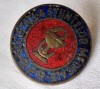 SOCIETATEA STIINTELOR MEDICALE din RPR, ( Republica Populara Romana), insigna veche anii 1950, Romania de la 1950