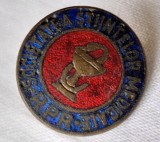 SOCIETATEA STIINTELOR MEDICALE din RPR, ( Republica Populara Romana), insigna veche anii 1950