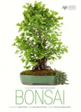 Bonsai | Anna Maria Botticelli