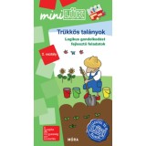Tr&uuml;kk&ouml;s tal&aacute;nyok - LDI570 - Logikai gondolkod&aacute;st fejlesztő feladatok - 2. oszt&aacute;ly - MiniL&Uuml;K