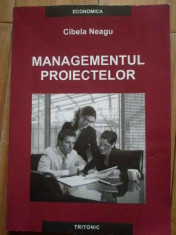 Managementul Proiectelor - Cibela Neagu ,297305 foto
