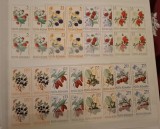 Romania MNH 1964 - Fructe de padure - LP 598 X4