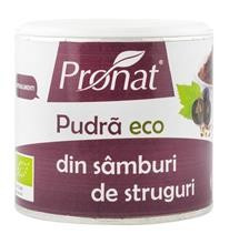 Pudra Bio din Samburi de Struguri Pronat 90gr Cod: PRN754 foto