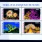 RO 2002 LP 1577a &quot;Corali si anemone &quot; - bloc de 4 , colita 319 , MNH
