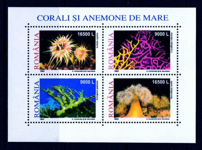 RO 2002 LP 1577a &quot;Corali si anemone &quot; - bloc de 4 , colita 319 , MNH