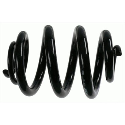 Sachs Arc spiral foto