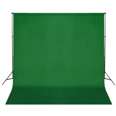 vidaXL Sistem de suport fundal, 600 x 300 cm, verde