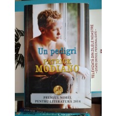 Patrick Modiano - Un Pedigri