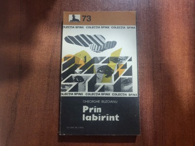 Prin labirint de Gheorghe Buzoianu foto