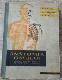 Anatomia omului - V. Ranga, T. Seicaru, F. Alexe