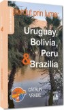 Pierdut prin lume: Uruguay, Bolivia, Peru &amp; Brazilia - Paperback brosat - Cătălin Vrabie - Neverland