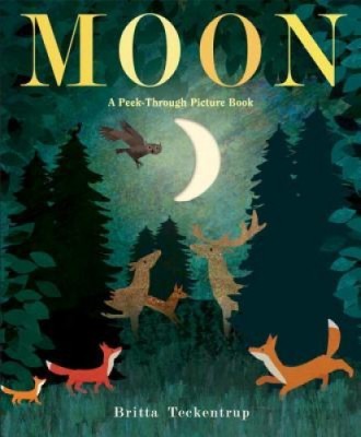 Moon: A Peek-Through Picture Book foto