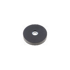 Magnet neodim, 6mm, 31mm, ELESA+GANTER - GN 51.4-ND-31