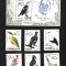 korea pasari mnh