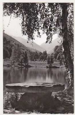 bnk cp Muntii Fagaras - Peisaj in valea Sambetei - circulata foto