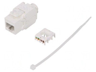Soclu RJ45 8p8c Cat 6a Keystone Ne-ecranat foto