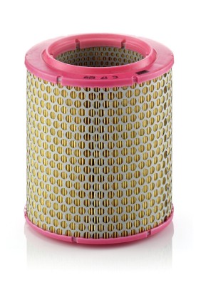 MANN-FILTER C 17 129 Filtru aer foto