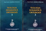 Cumpara ieftin Teologia dogmatica ortodoxa Vol. 2-3 - 1996 - Dumitru Staniloae (L374)